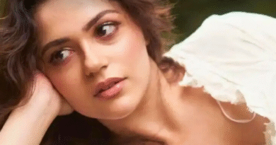 ‘सय्यारा’ से ‘नेशनल क्रश’ बनी अनीत पड्डा:DU के जीजस एंड मैरी कॉलेज से पढ़ी, डेरी मिल्क, मैगी, पेटीएम के एड में ऑडियंस ने पसंद किया, जानें पूरी प्रोफाइल